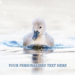 Mute Cygnet Personalised Christmas Card - Front Personalisation