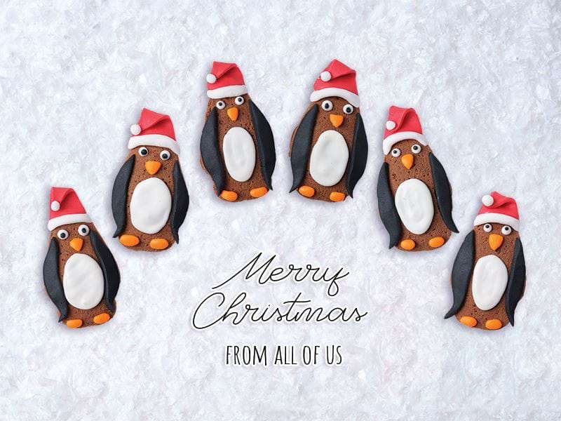 Penguin Team Personalised Christmas Card