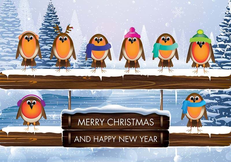 Robin Team Personalised Christmas Card
