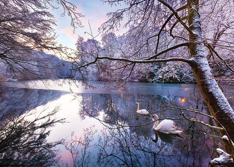 Winter on the Lake Personalised Christmas Card