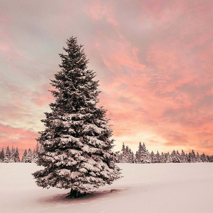 Winter Sunset Personalised Christmas Card