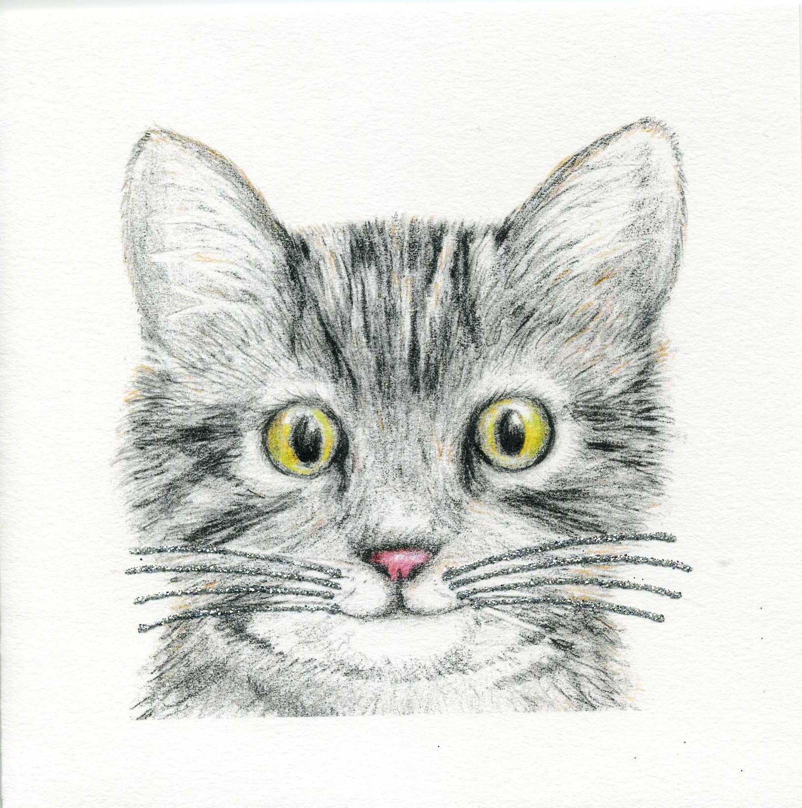 Cat Whiskers Luxury Greeting Card