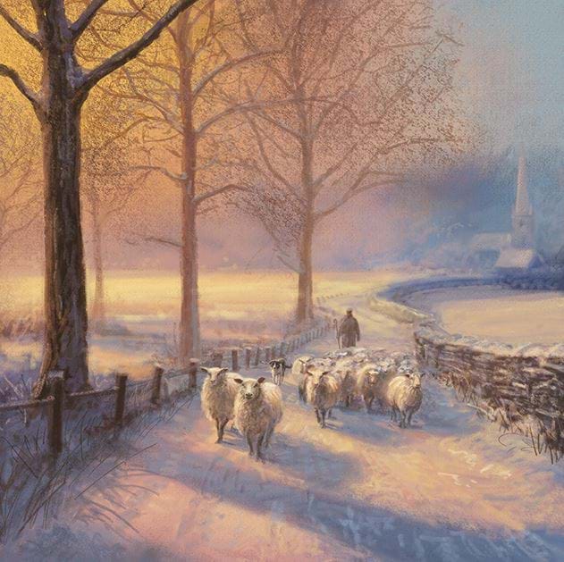 Sheep Walk MSF Christmas Card Pack