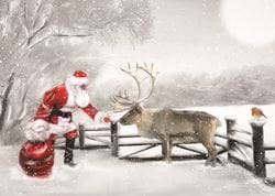 Treat for Reindeer MSF Christmas Card Pack (10)