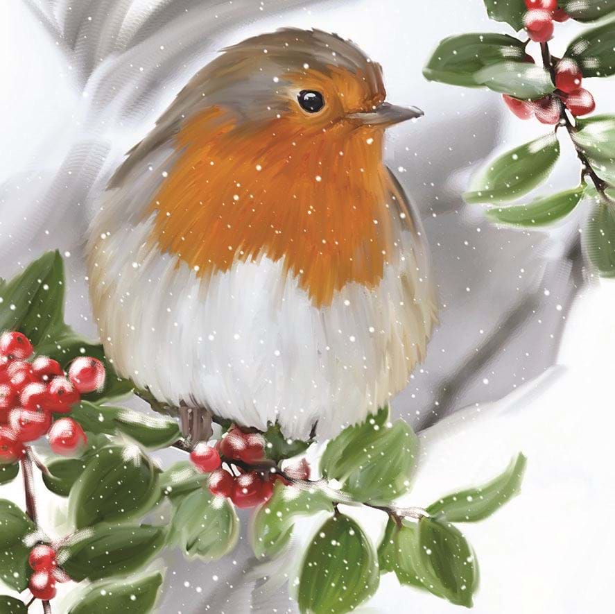 Robin & Holly, Age UK Christmas Card Pack (10)