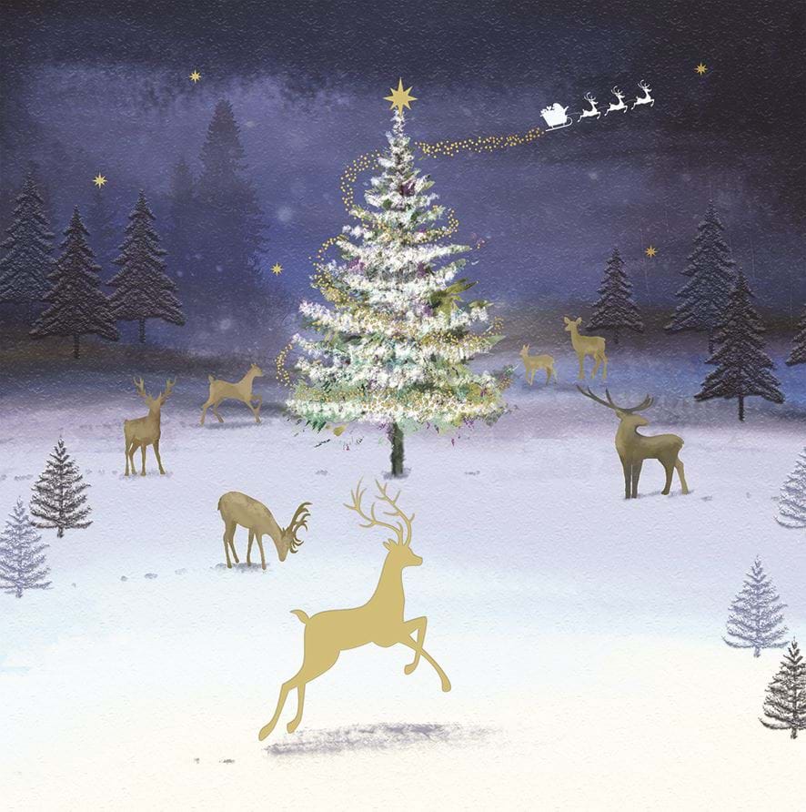 Sparkling Tree, Age UK Christmas Card Pack (10)