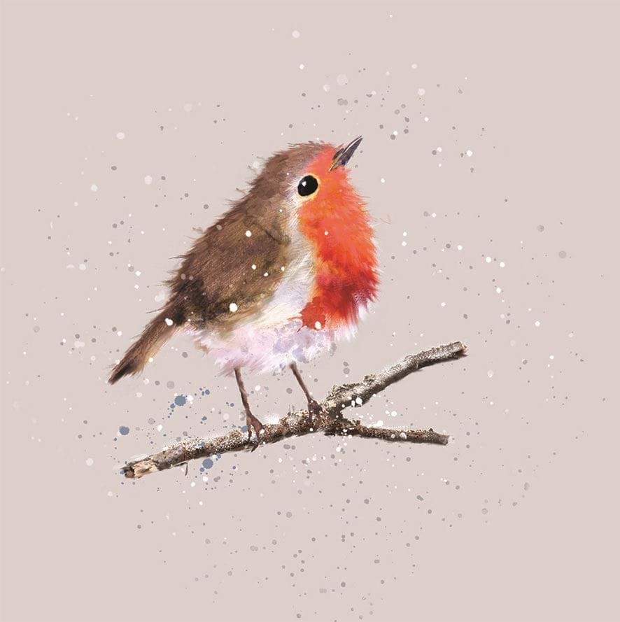 Fluffy Robin, Alzheimer's Society Christmas Card Pack (10)