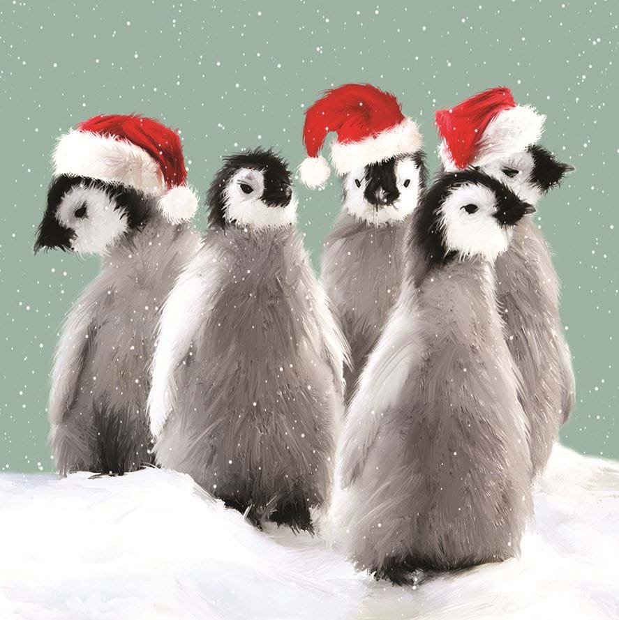 Waddle, Marie Curie Christmas Card Pack (10)