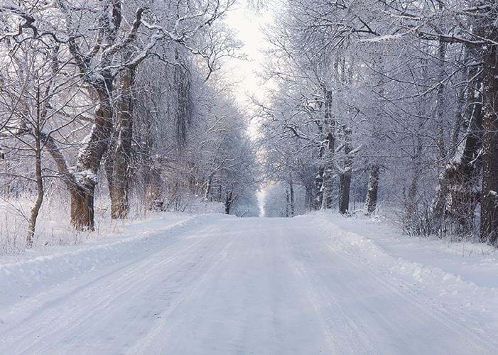 Frosty Road, Marie Curie Christmas Card Pack (10)