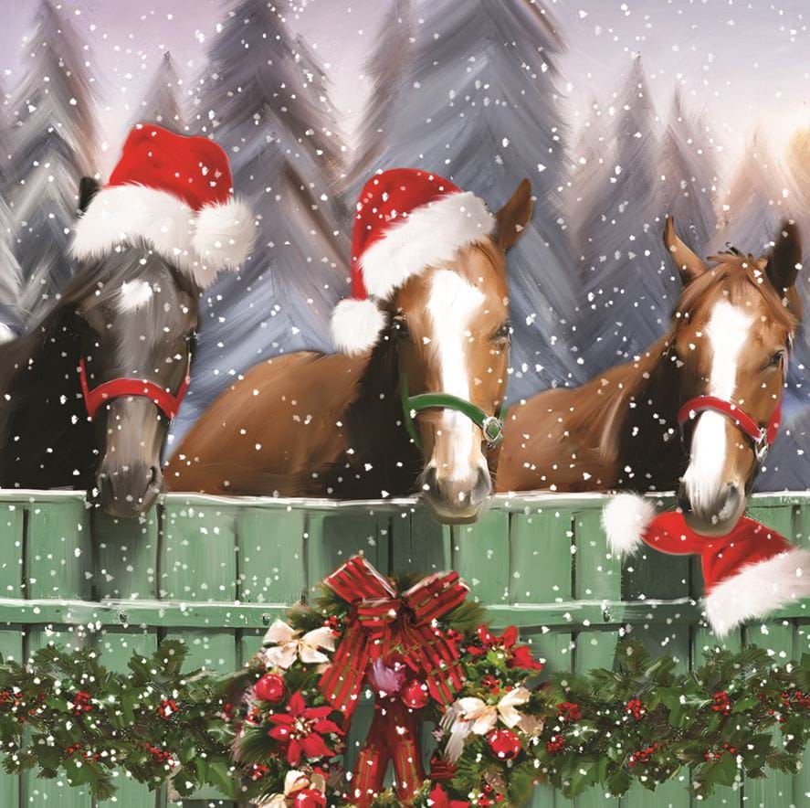 Festive Horses, Mind Christmas Card Pack (10)