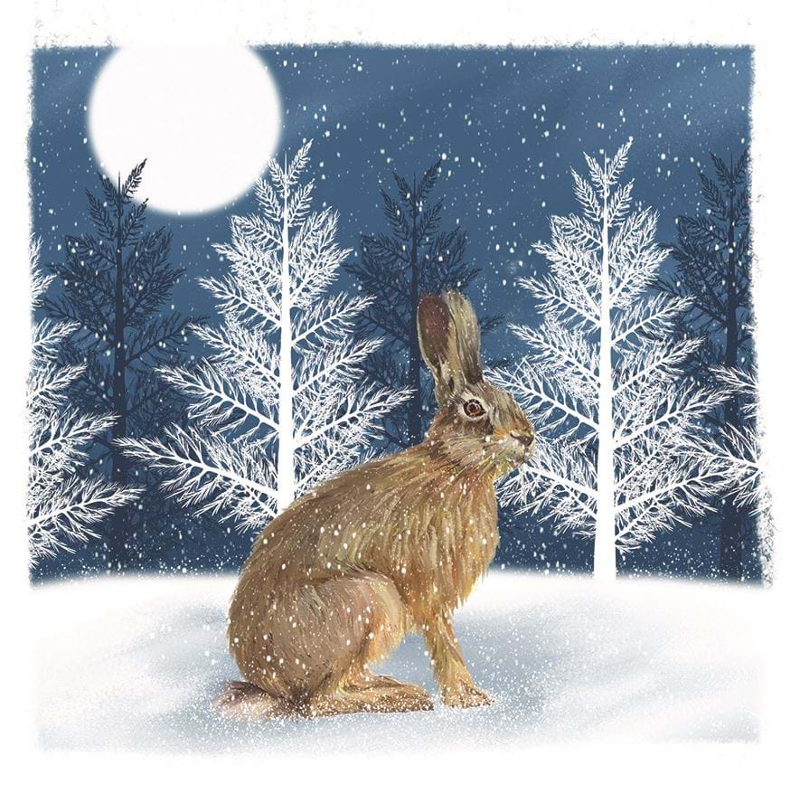 Christmas Hare, Multiple Sclerosis UK Christmas Card Pack (10)