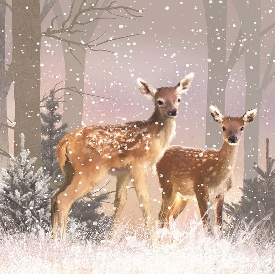 First Snowfall, NSPCC Christmas Card Pack (10)