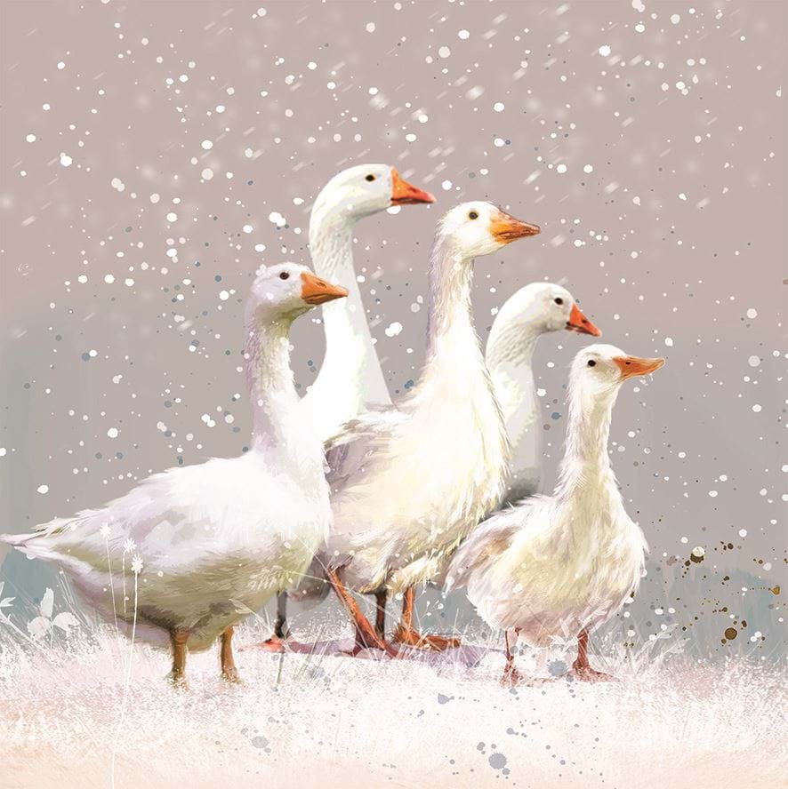 Flock of Geese, RSPCA Christmas Card Pack (10)