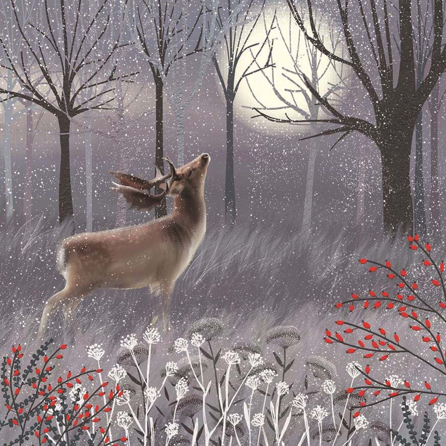 Stag in the Woods, Samaritans Christmas Card Pack (10)