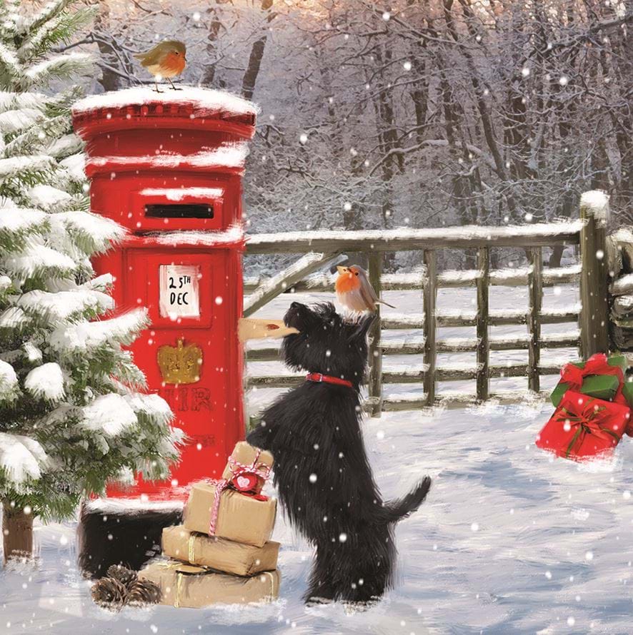 Christmas Mail, Save the Children Christmas Card Pack (10)