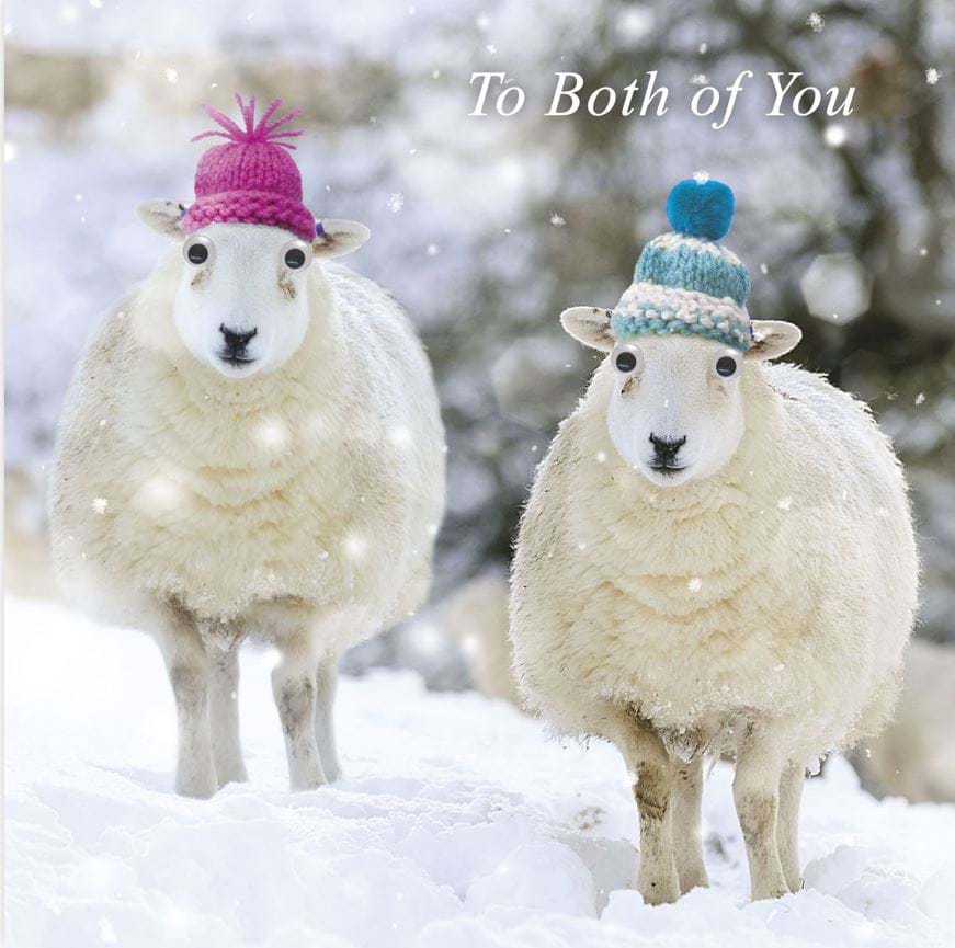 Sheep Both of you Christmas Card