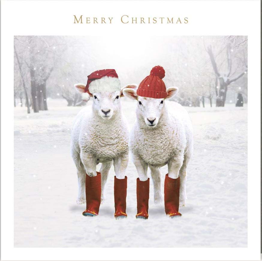 Sheep British Heart Foundation Card Pack (5)
