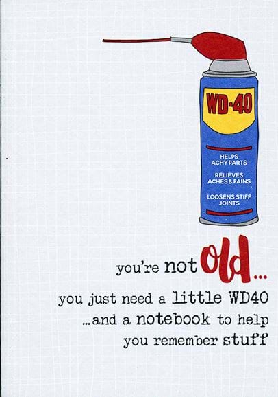 You're Not Old A6 Notebook