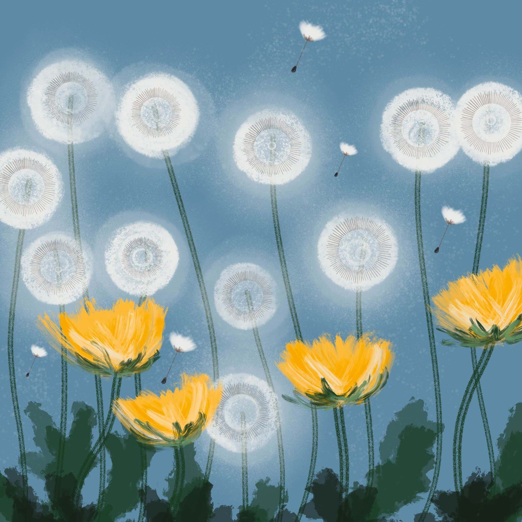 Dandelions Greeting Card