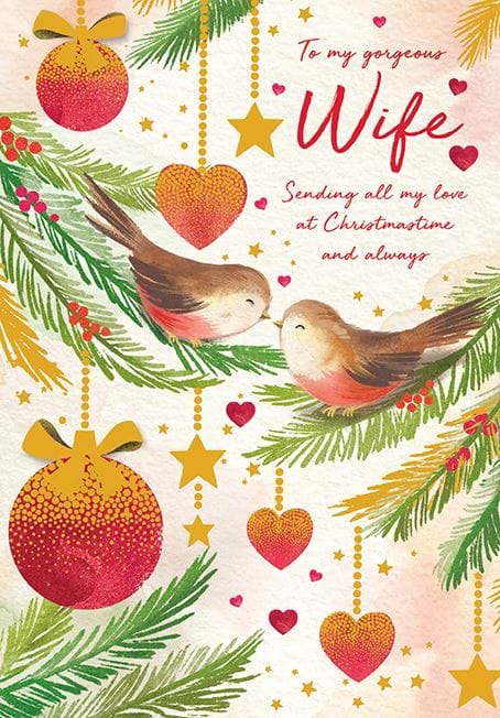 Robins Wife Christmas Card