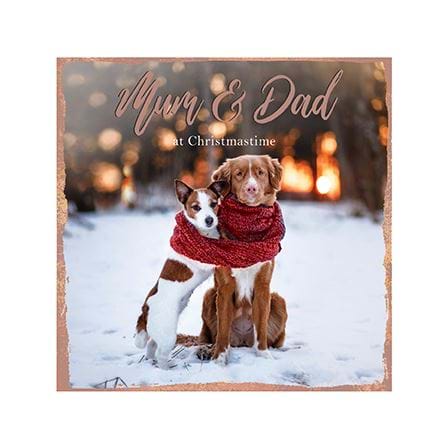Dogs in the Snow Mum & Dad Christmas Card