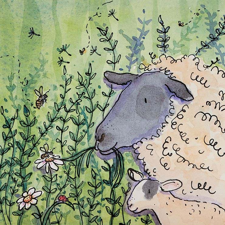 Sheep & Daisy Greeting Card