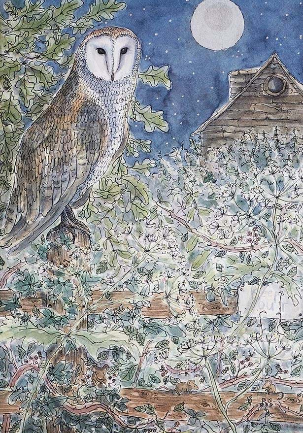 Barn Owl Greeting Card
