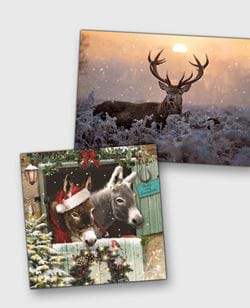 Animal Christmas Cards