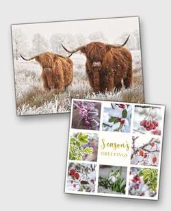 Photographic Christmas Cards