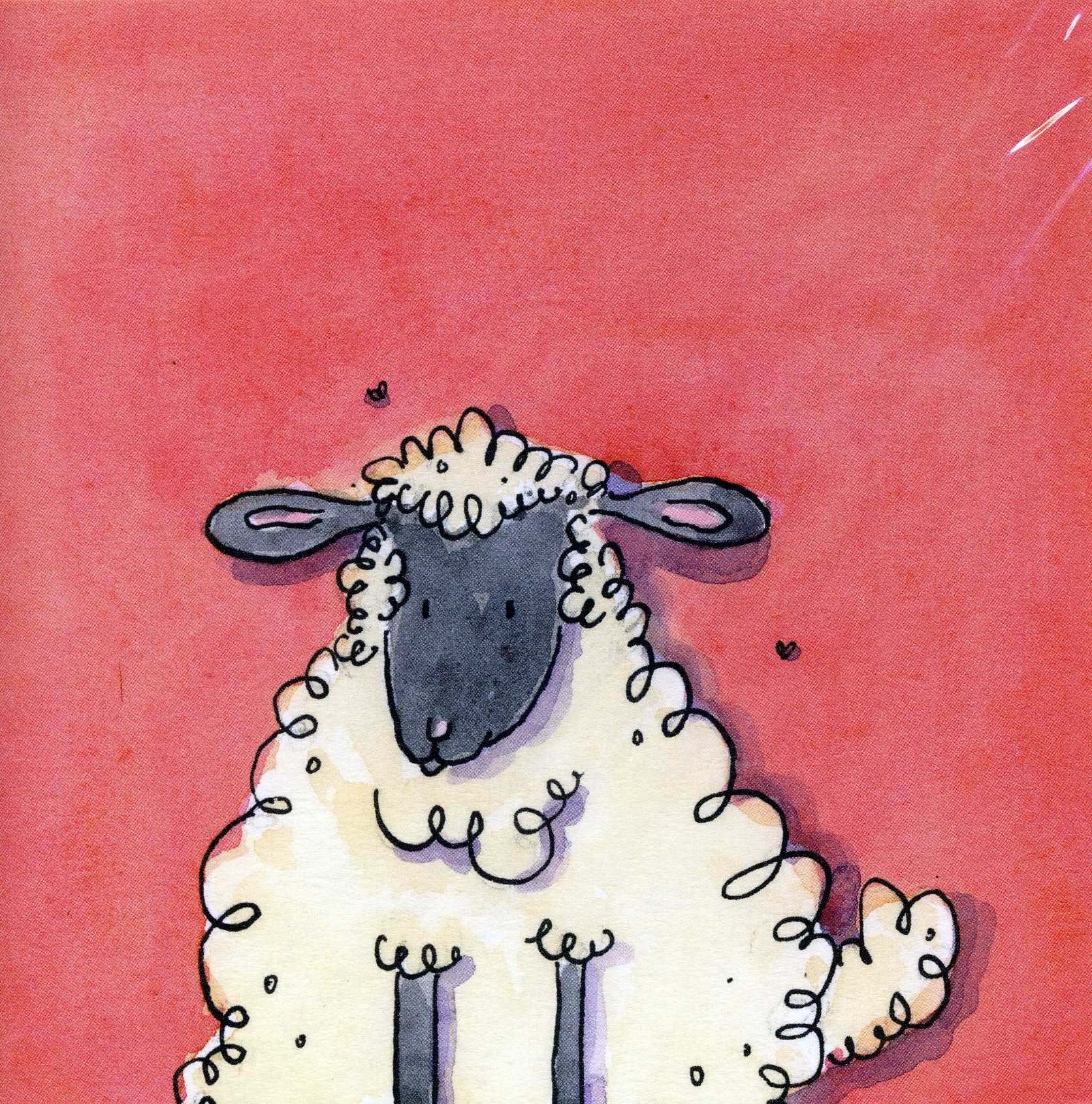 Sheep on Pink Greeting Card