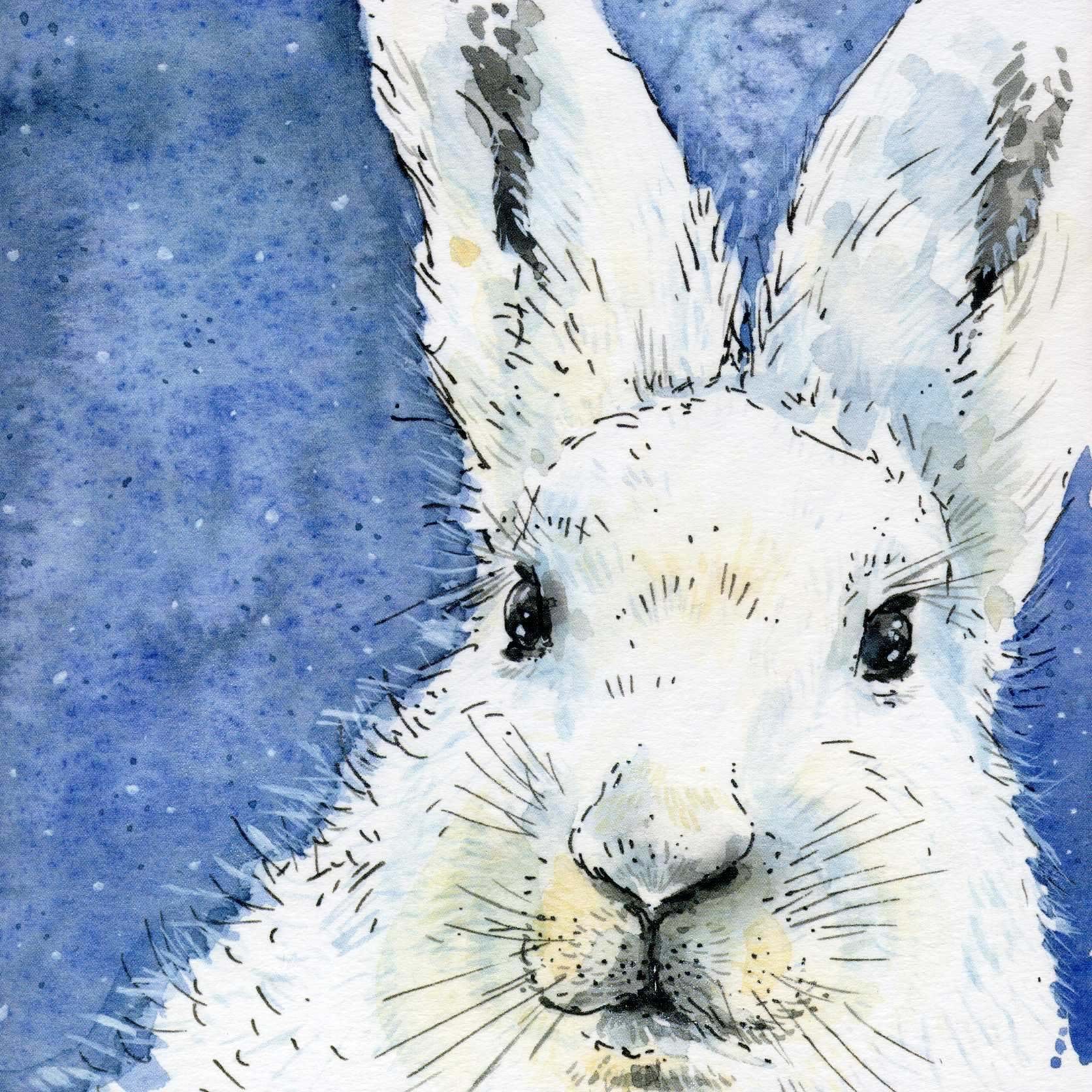 White Hare Christmas Card