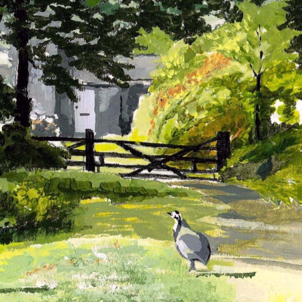 Summer Days Greetings Card