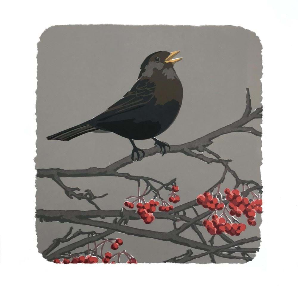 Blackbird Christmas Card