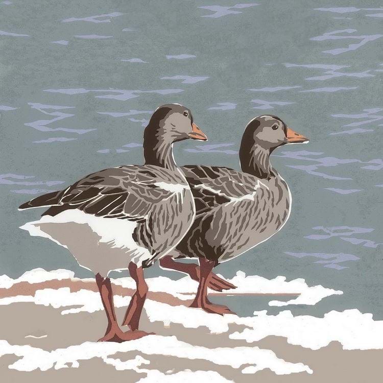 Greylag Geese Greeting Card
