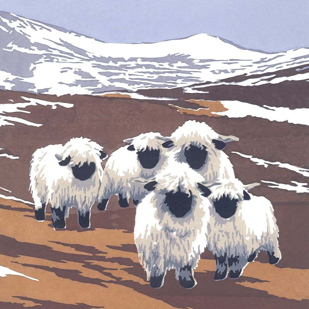 Valais Black-nosed Sheep Greeting Card