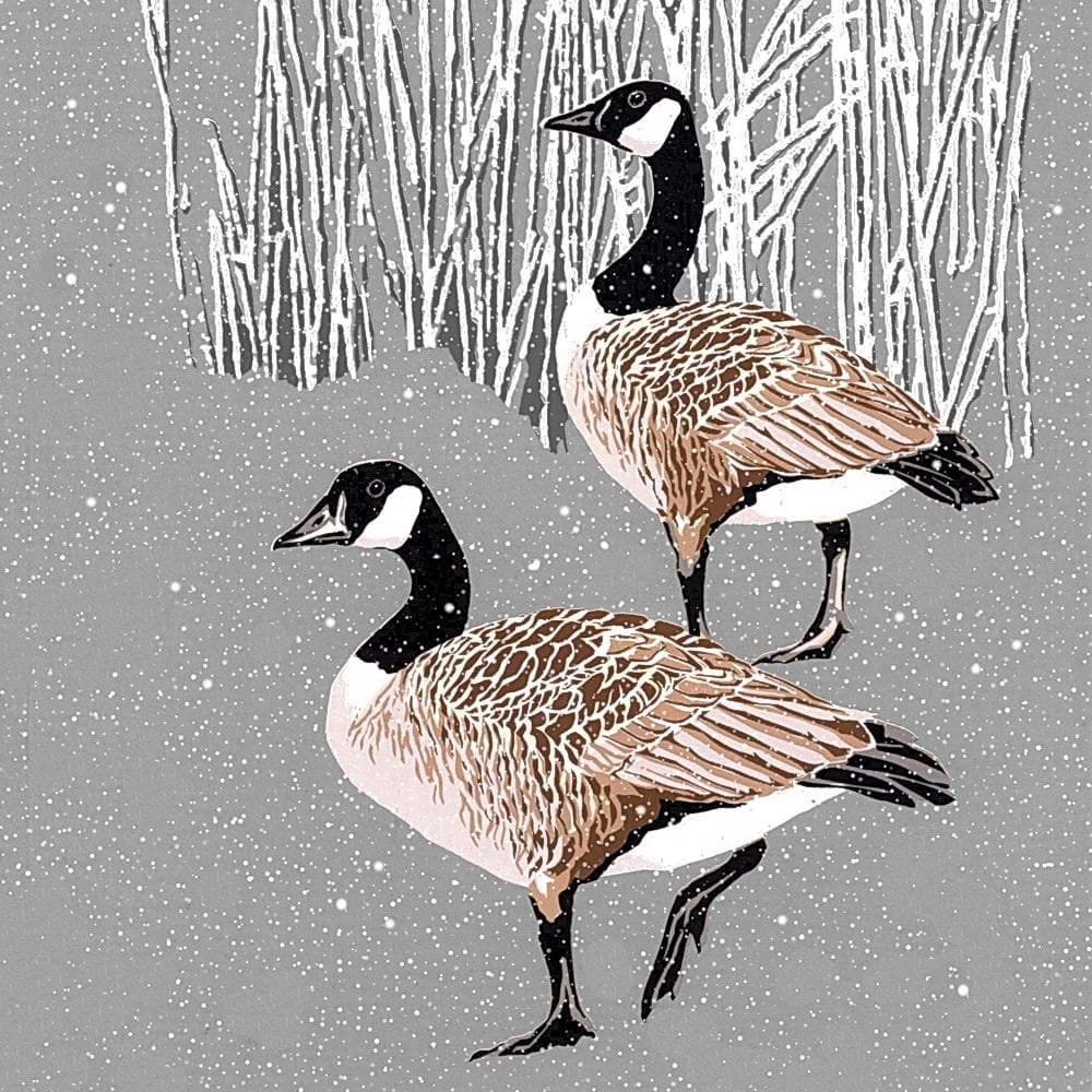 Canada Geese