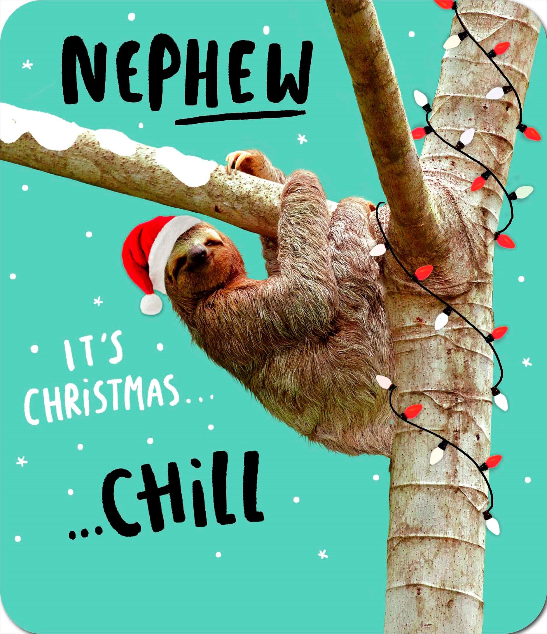 Chill Nephew Christmas Card