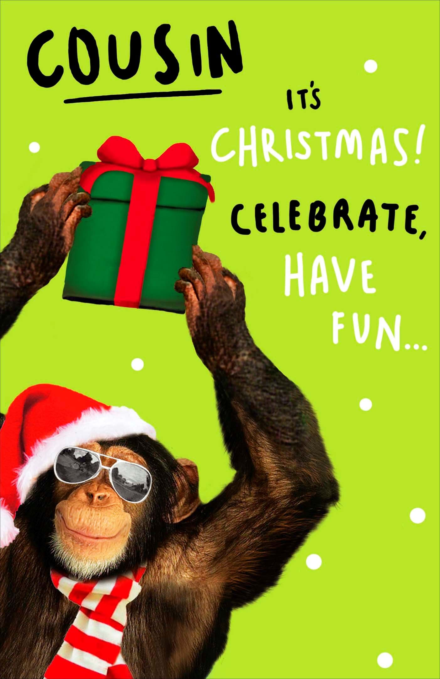 Have Fun Cousin Christmas Card