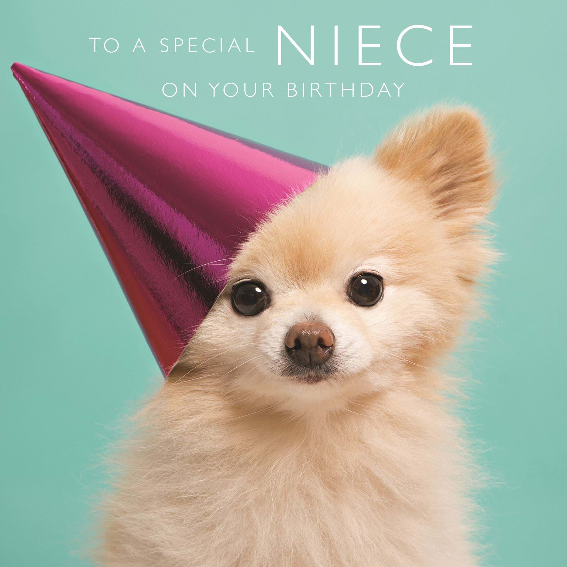 Puppy Party Niece Birthday Card