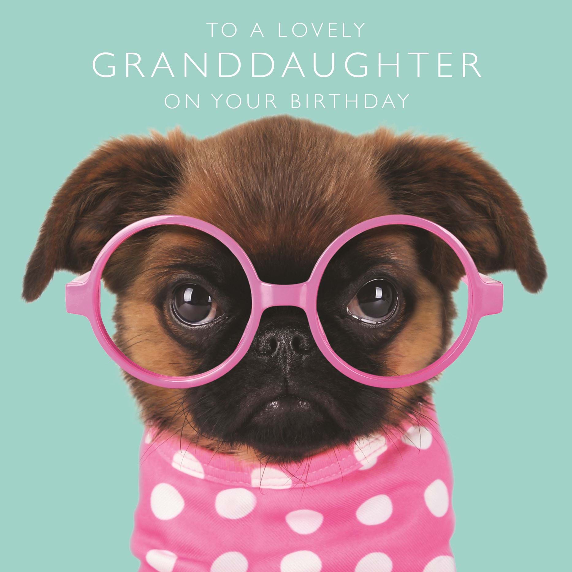 Polka Dot Dog Granddaughter Birthday Card