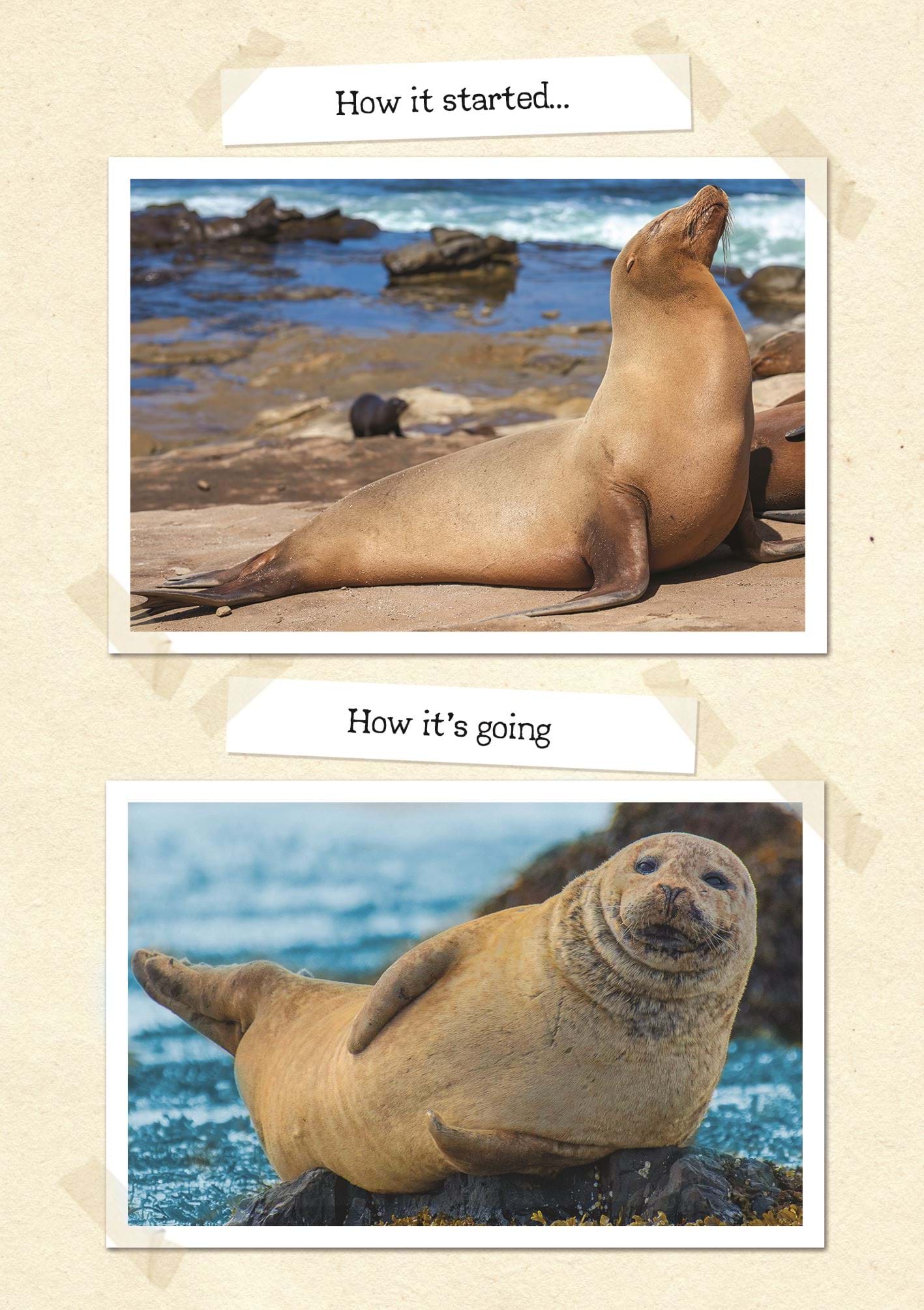 How It Started Birthday Card
