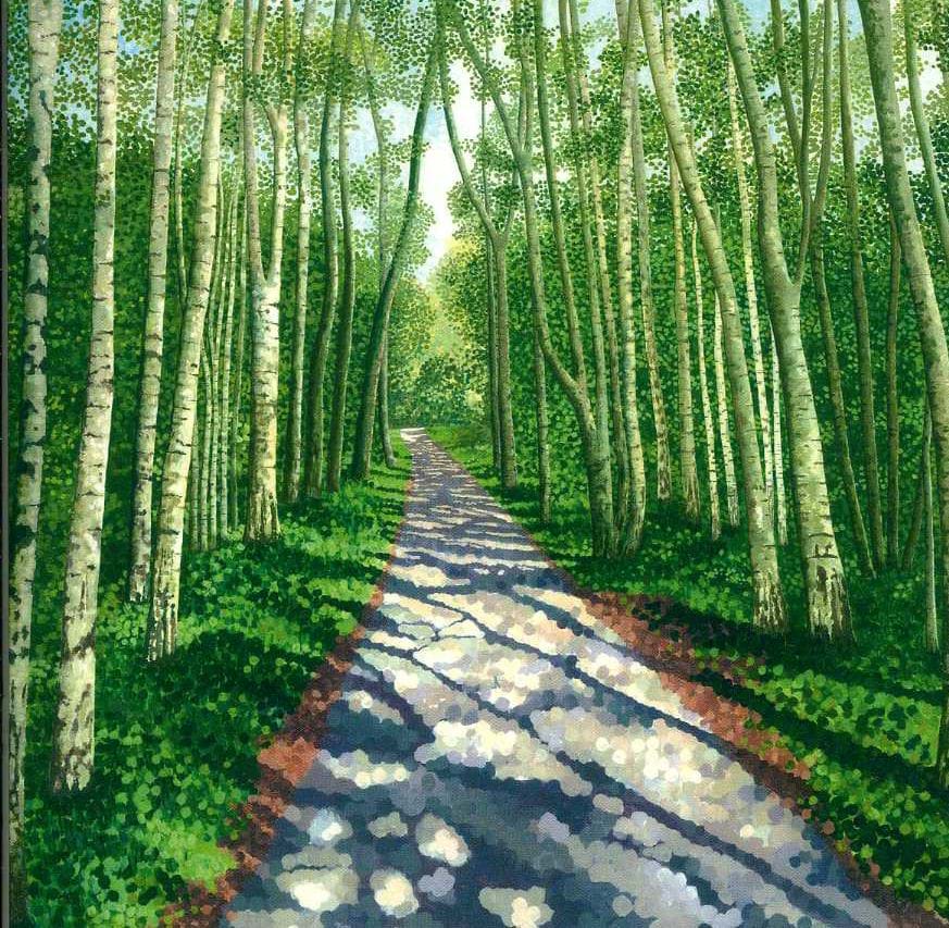 Birch Walk Greeting Card