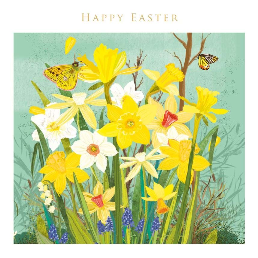 Daffodils and Yellow Butterfly Easter Card Pack (5)