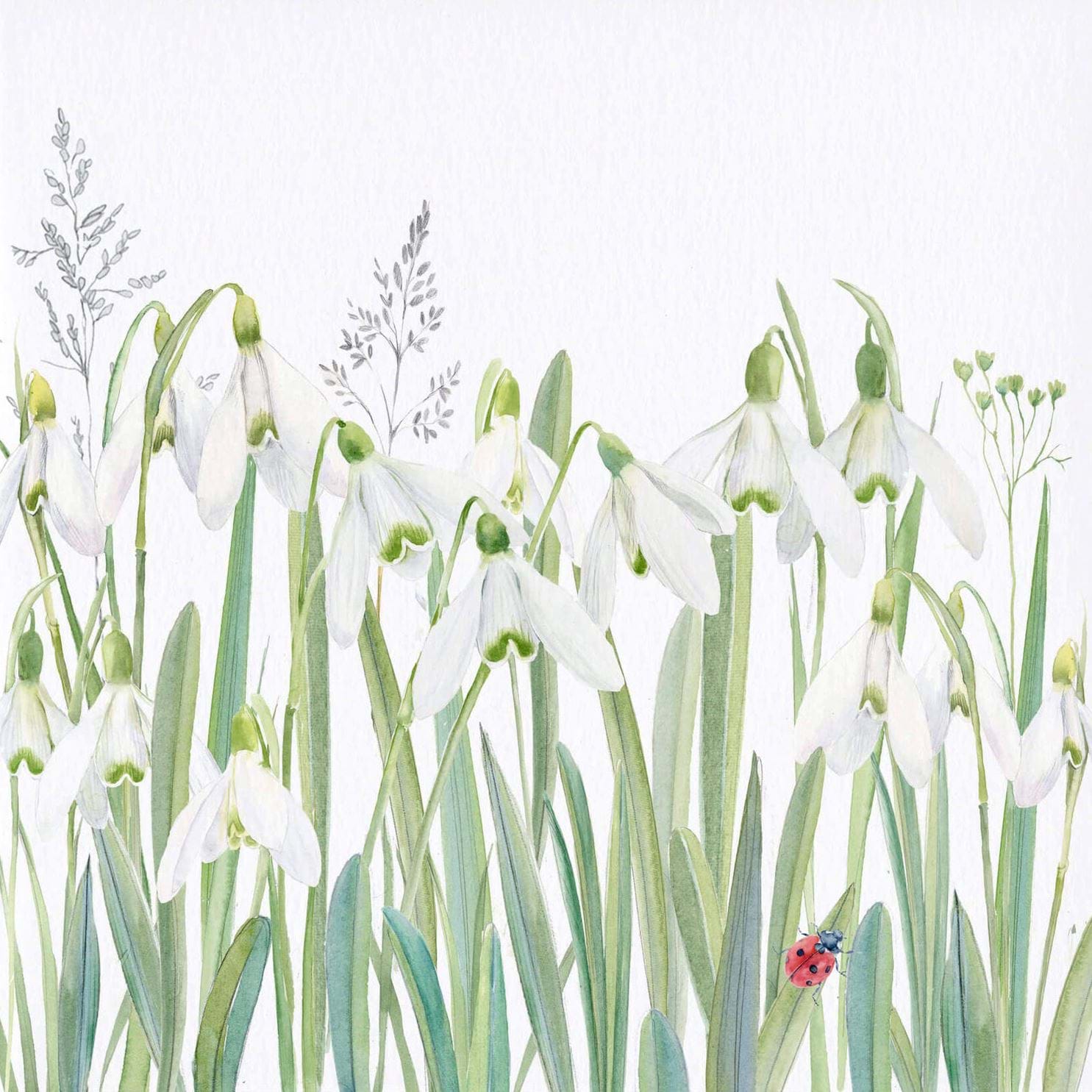 Snowdrops Greeting Card