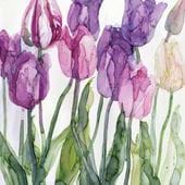 Purple Tulips Greeting Card