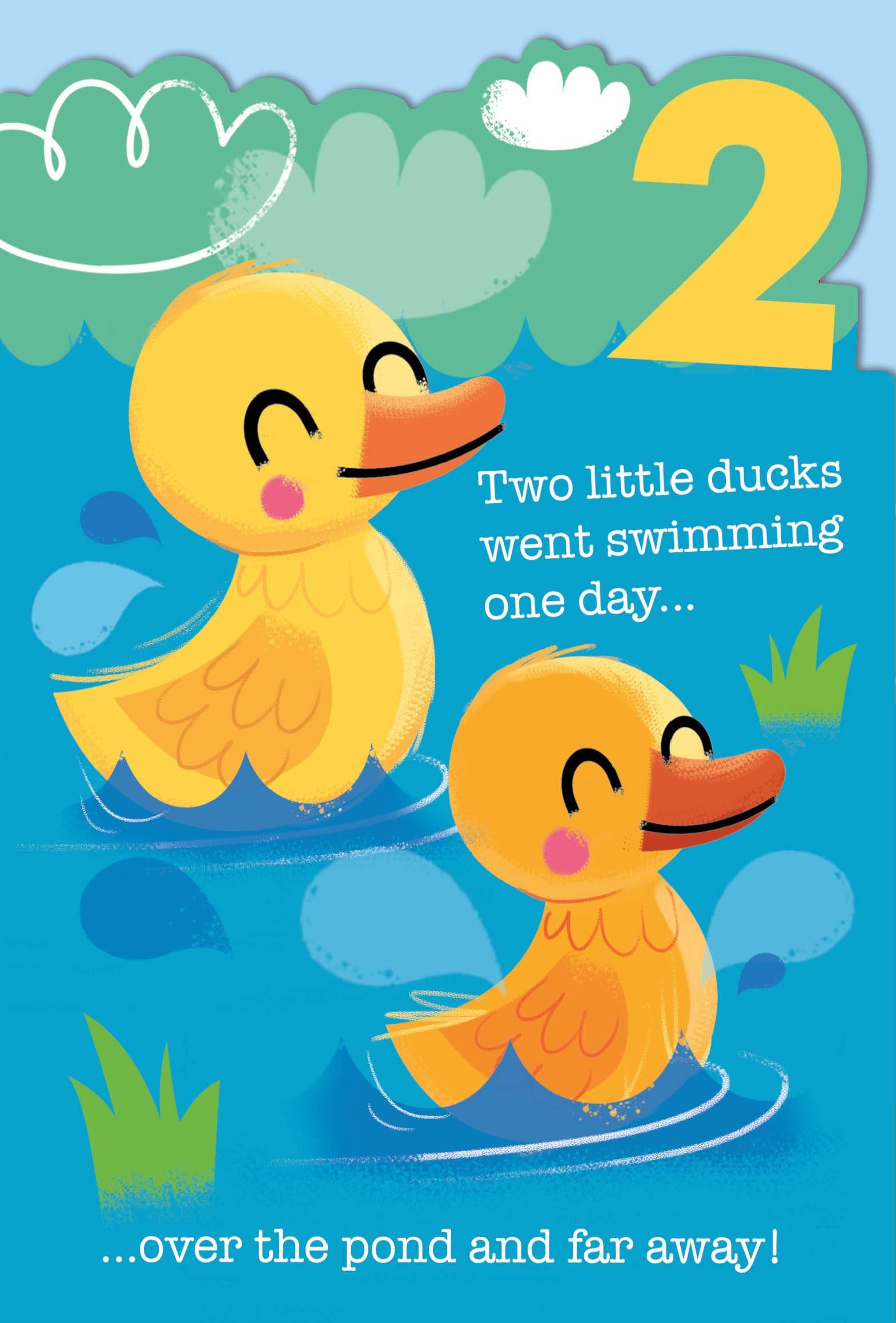 Little Ducks 2nd Birthday Card