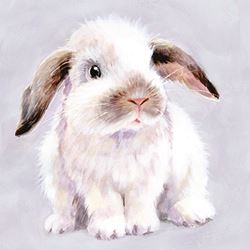 White Bunny Greeting Card