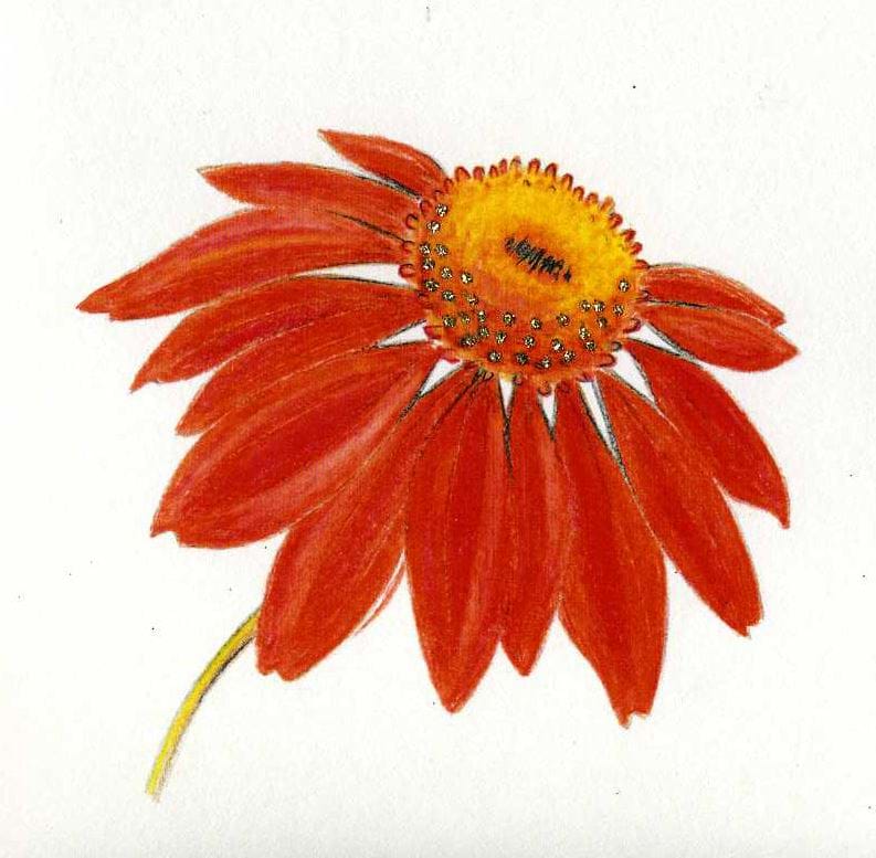 Red Flower Luxury Greeting Card