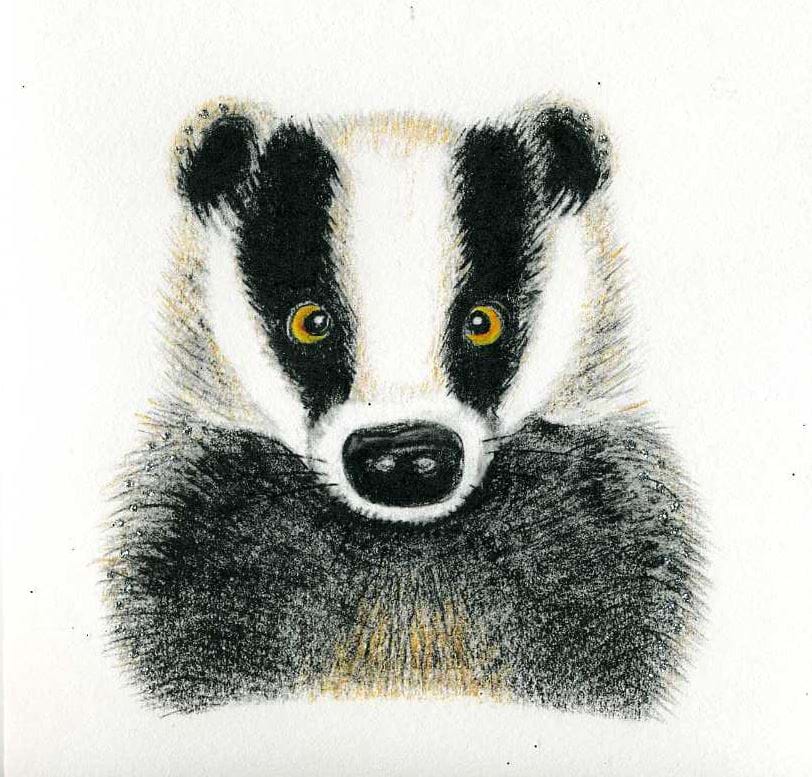 Badger Luxury Greeting Card
