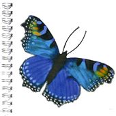 Blue Butterfly Luxury Notebook